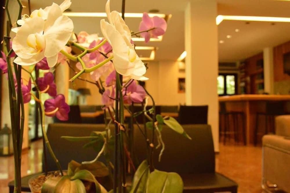 Alexakis Hotel & Spa Loutra Ipatis Exterior foto